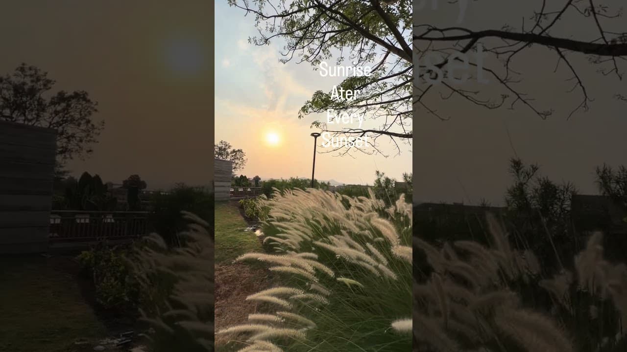 Soft skies, calm mind.Let the sunset heal what the day couldn’t 💫 #sunset  #sunrise #believe